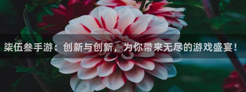 鼎点娱乐测速