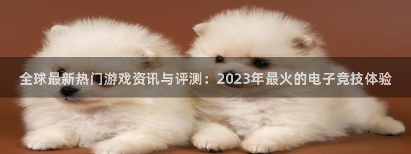 鼎点娱乐网页登录入口官网：全球最新热门游戏资讯与评测：202