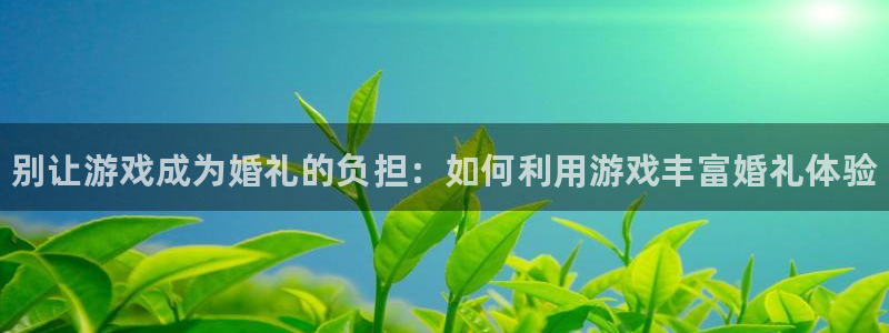 鼎点娱乐：别让游戏成为婚礼的负担：如何利用游戏丰富婚礼体验