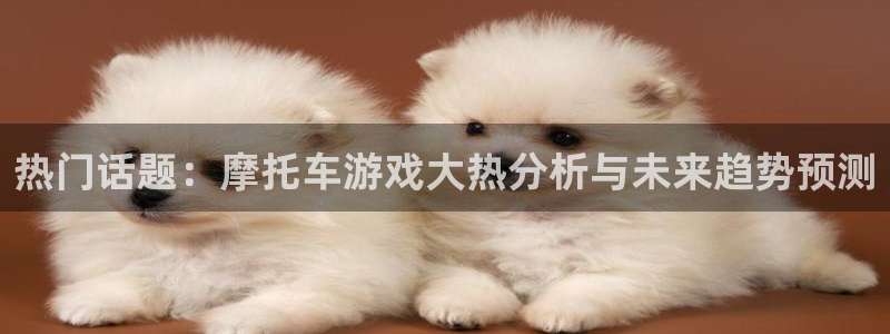 鼎点娱乐网页版地址：热门话题：摩托车游戏大热分析与未来趋势预