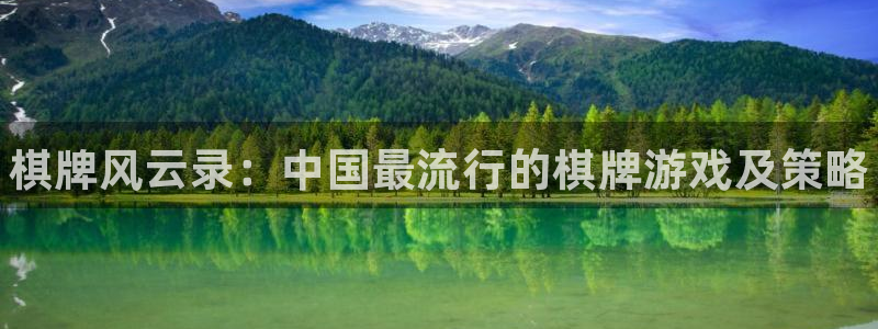 鼎点娱乐网页登录入口官网：棋牌风云录：中国最流行的棋牌游戏及