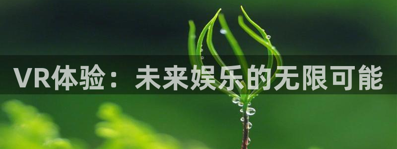鼎点娱乐直属：VR体验：未来娱乐的无限可能