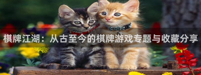 鼎点娱乐咨询：棋牌江湖：从古至今的棋牌游戏专题与收藏分享