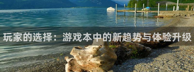 鼎点娱乐平台注册资金多少：玩家的选择：游戏本中的新趋势与体验