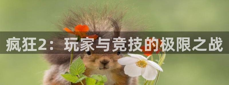 手机版鼎点娱乐客户端下载：疯狂2：玩家与竞技的极限之战