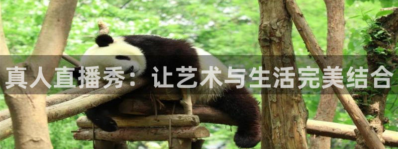 斗球体育免费直播