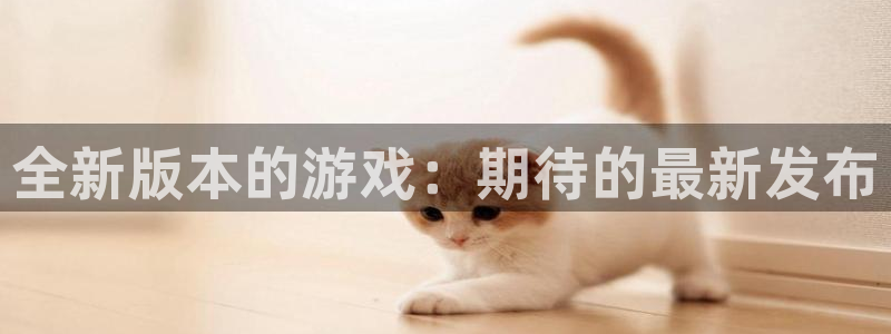 鼎点娱乐平台登录注册：全新版本的游戏：期待的最新发布