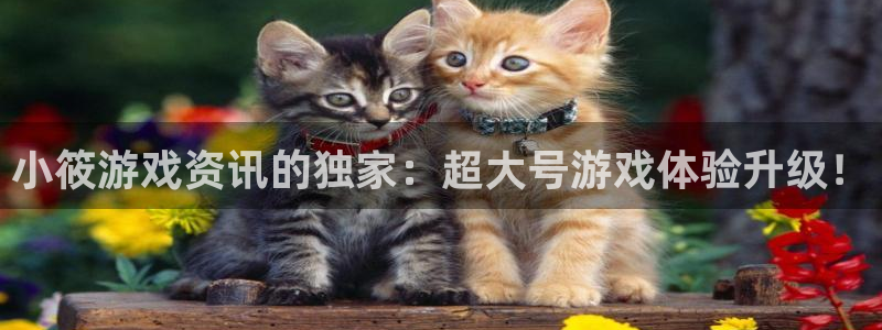 鼎点娱乐app官方下载最新版：小筱游戏资讯的独家：超大号游戏