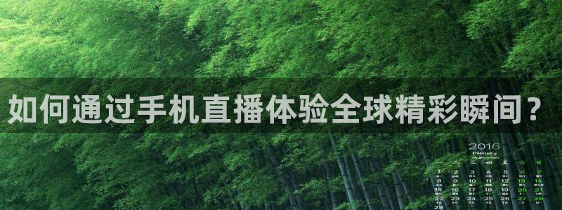 斗球体育app下载ios：如何通过手机直播体验全球精彩瞬间？