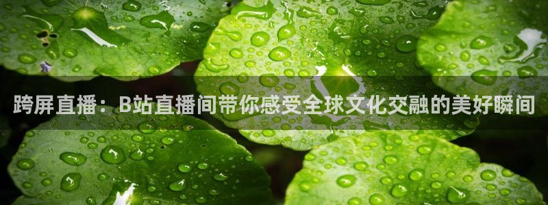 斗球体育app免费直播：跨屏直播：B站直播间带你感受全球文化交融的美好瞬间